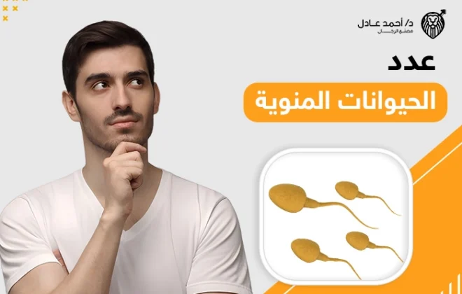 عدد الحيوانات المنوية الطبيعي