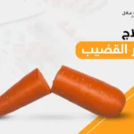 علاج كسر القضيب