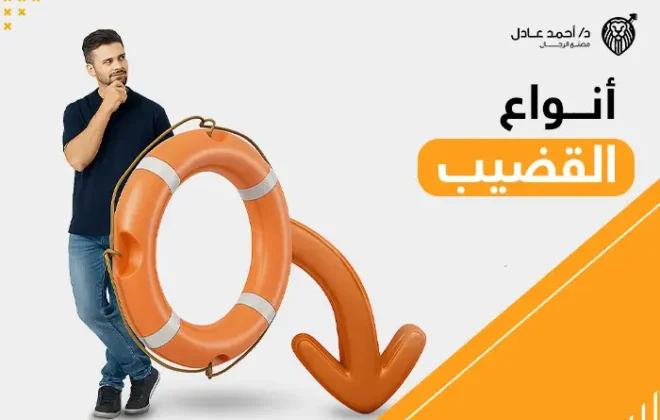 أنواع القضيب