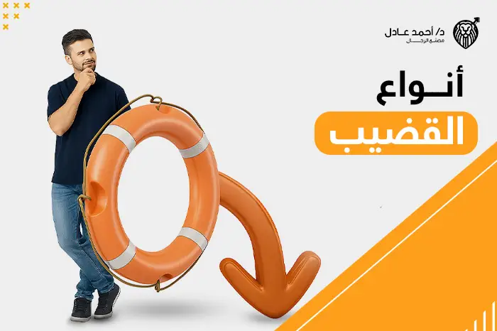 أنواع القضيب