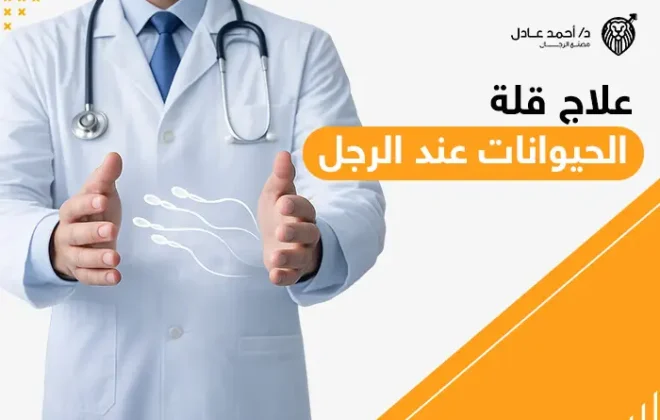 علاج قلة الحيوانات عند الرجل